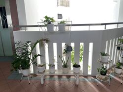 Blk 311D Anchorvale Vista (Sengkang), HDB 4 Rooms #451820041